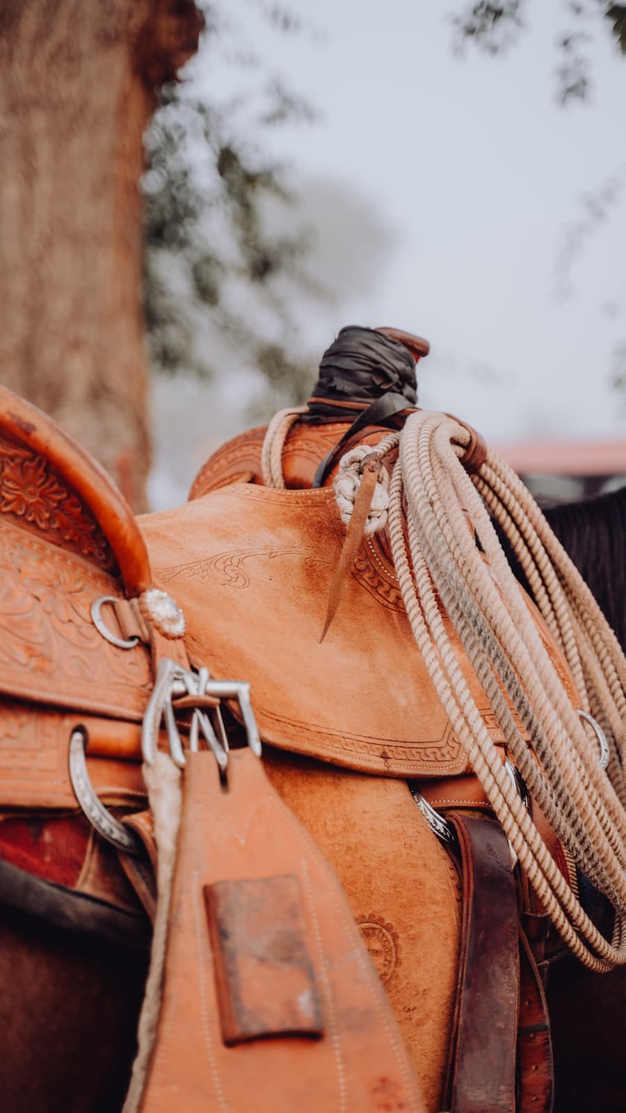 Dettaglio selleria — contenuto Instagram EquiPlan