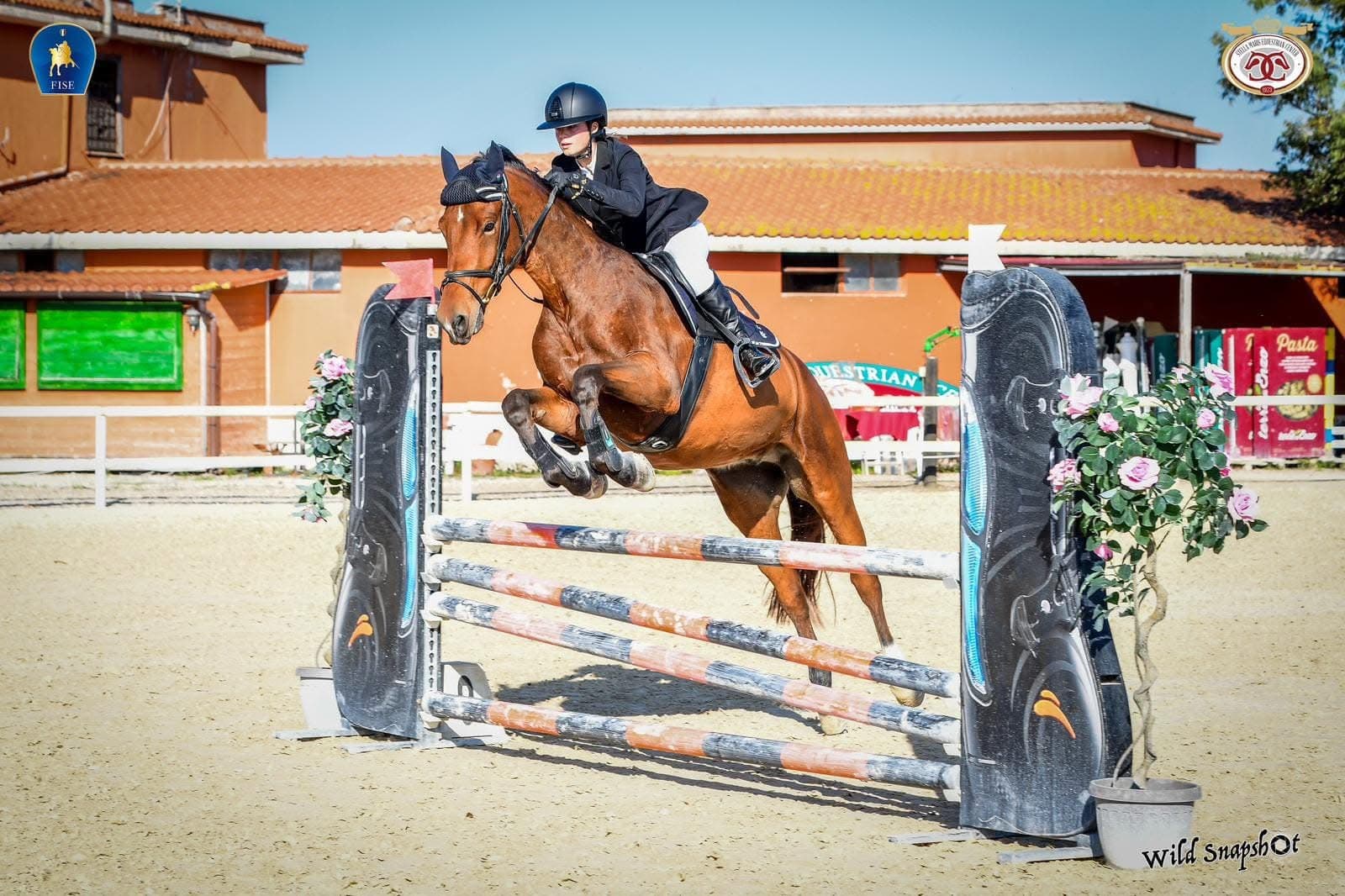 Cavaliere e cavallo in salto ostacoli durante una gara